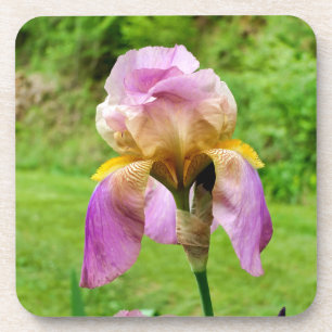 Dessous-de-verre Iris à poils
