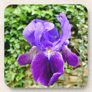 Dessous-de-verre Iris à poils