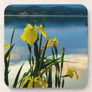 Dessous-de-verre Iris jaune à Lake Shore