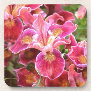 Dessous-de-verre Iris rose orange