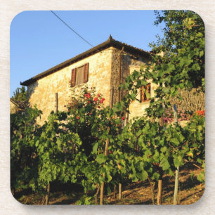 Dessous-de-verre Italie, Toscane, Greve. Scènes de vin fin d'été
