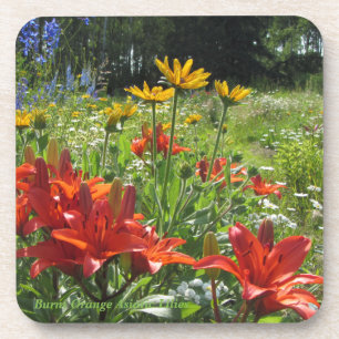 Dessous-de-verre Jardin asiatique orange brûlé d'été de lis