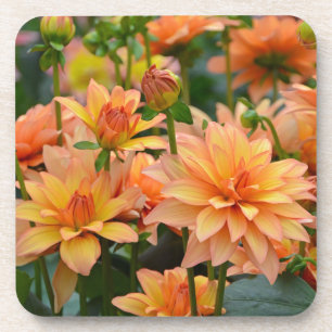 Dessous-de-verre Jardin fleuri de dahlia orange