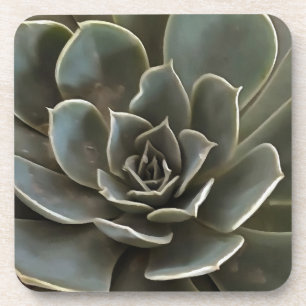 Dessous-de-verre Jardin Succulent Vert Gris Tons Art Réaliste