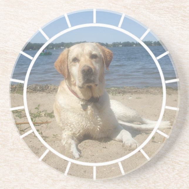 Dessous de verre jaunes de chien de labrador (Devant)