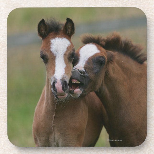 Dessous-de-verre Jeu de poulains (Devant)