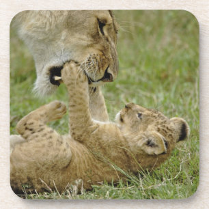 Dessous-de-verre Jeune lion jouant