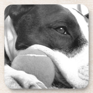 Dessous-de-verre joli chien pitbull au look triste noir et blanc av