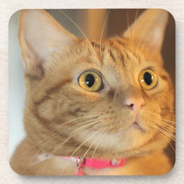 Dessous-de-verre Joli Penny (Devant)