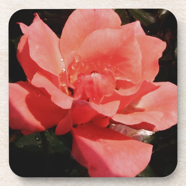 Dessous-de-verre Joli rose rose Peach floral (Devant)