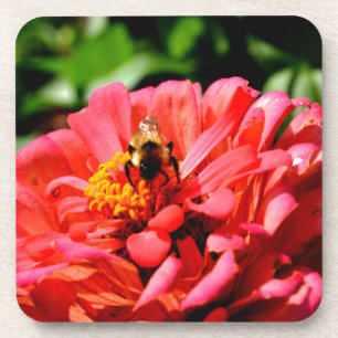 Dessous-de-verre Jolie fleur rouge et abeille de miel