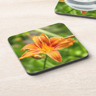 Dessous-de-verre Jolie grande fleur Lily photo
