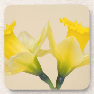 Dessous-de-verre Jonquilles jaunes