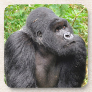 Dessous-de-verre Joyeux singe