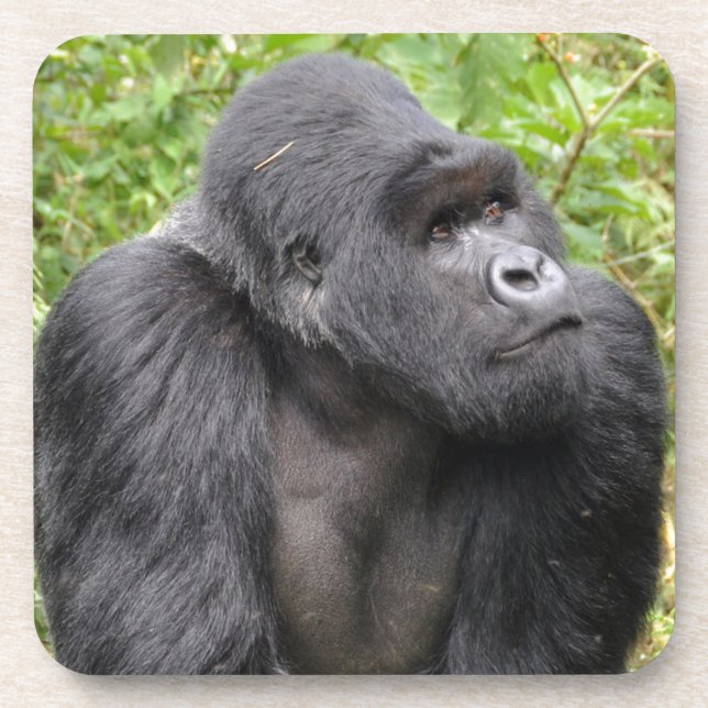 Dessous-de-verre Joyeux singe (Devant)