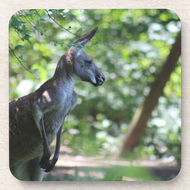Dessous de verre Kangaroo (Devant)