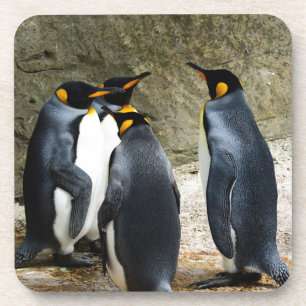 Dessous-de-verre King Penguin