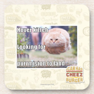 Dessous-de-verre Kitteh de vol plané