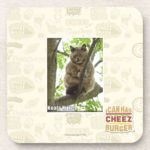 Dessous-de-verre Koala Kitteh