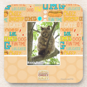 Dessous-de-verre Koala Kitteh