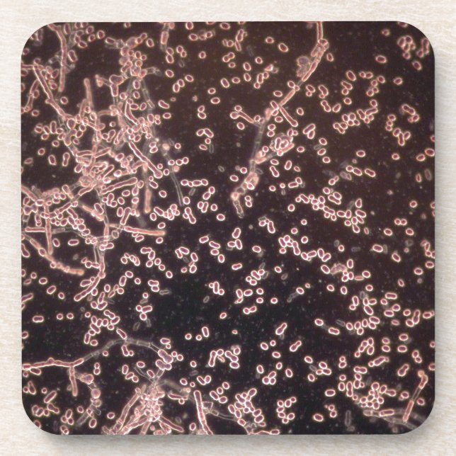 Dessous-de-verre la levure 3D microscopique a mouillé le bâti (Devant)