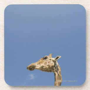Dessous-de-verre La tête de la girafe
