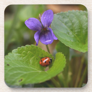 Dessous-de-verre Ladybug sur les fleurs de violet doux