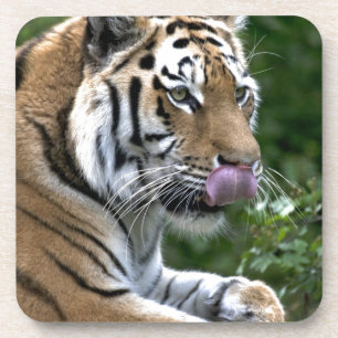 Dessous-de-verre Langue du tigre