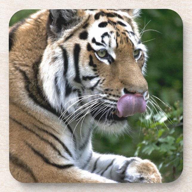 Dessous-de-verre Langue du tigre (Devant)