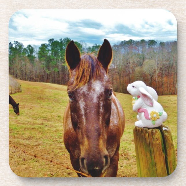 Dessous-de-verre Lapin de Pâques et cheval Brown (Devant)