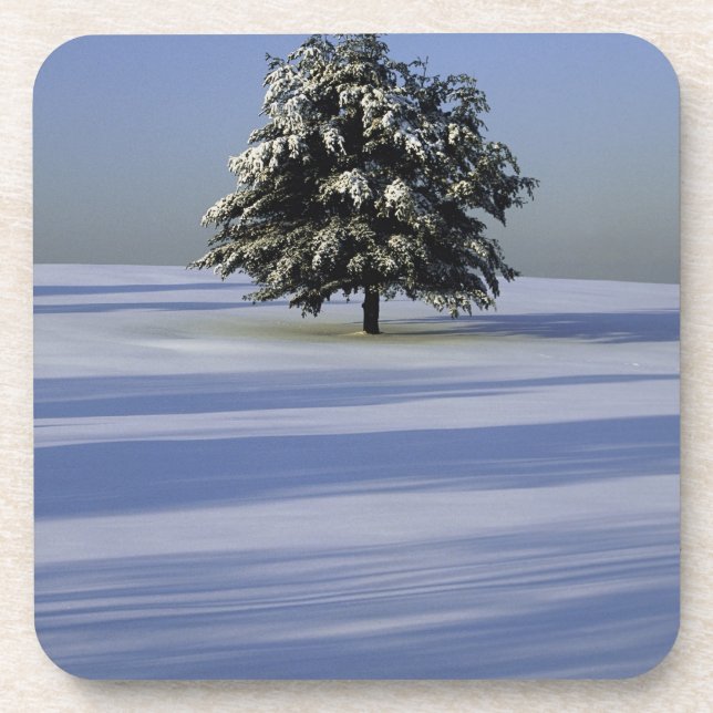 Dessous-de-verre L'arbre dans la neige a couvert le paysage (Devant)