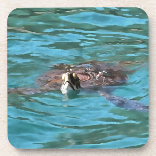 Dessous-de-verre L'art de la faune de la tortue de mer Loggerhead