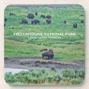 Dessous-de-verre Le bison américain