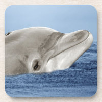 Le dauphin souriant