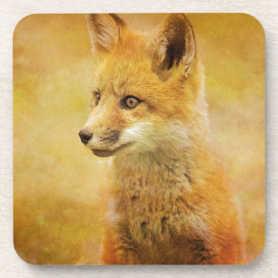 Dessous-de-verre Le Fox dans le bois