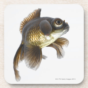 Dessous-de-verre Le noir amarrent le poisson rouge (auratus de