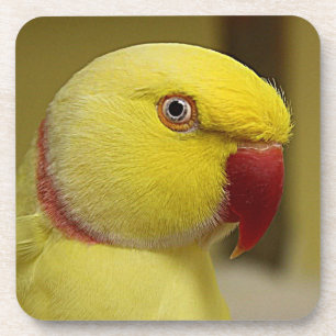 Dessous-de-verre Le perroquet jaune vif de l'Indien Lutino Ringneck