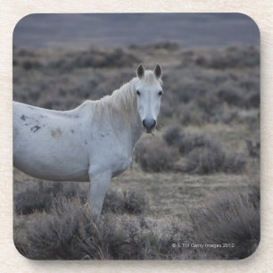 Dessous-de-verre le Wyoming, Etats-Unis d'Amérique