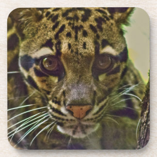Dessous-de-verre Leopard obscurci