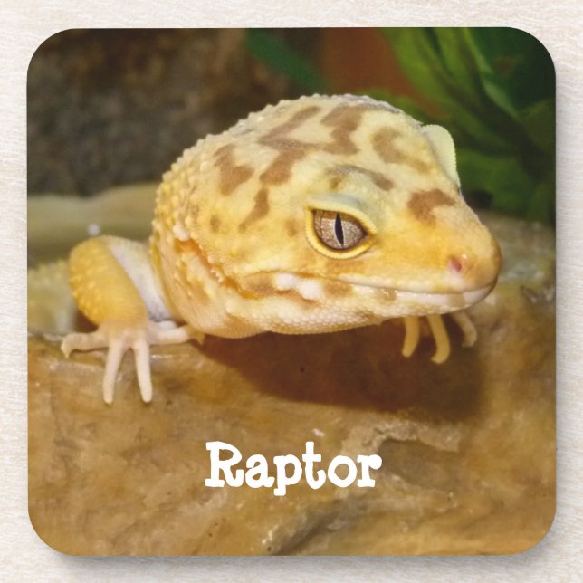 Dessous-de-verre Leopard personnalisé Gecko Lizard (Devant)