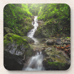 Dessous-de-verre Les cascades   Parc national du Mont Phayao