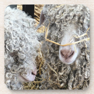 DESSOUS-DE-VERRE LES CHÈTES FRAÎCHES