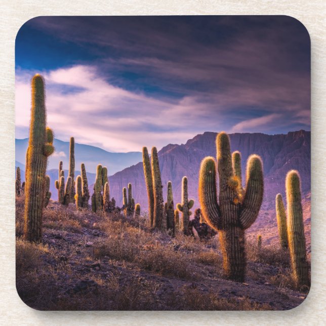 Dessous-de-verre Les déserts | Cactus Paysage Argentine (Devant)