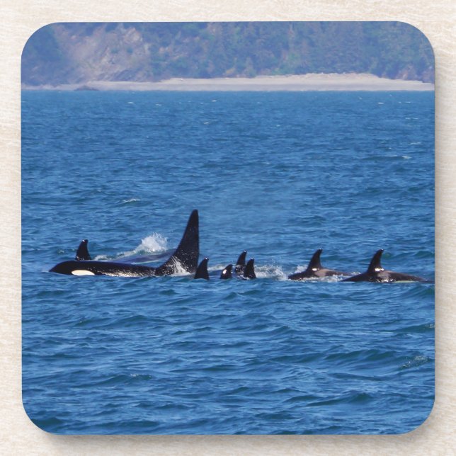 Dessous-de-verre Les familles s'assoient (Devant)