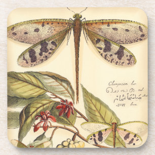 Dessous-de-verre Les libellules aux Feuilles et aux fruits
