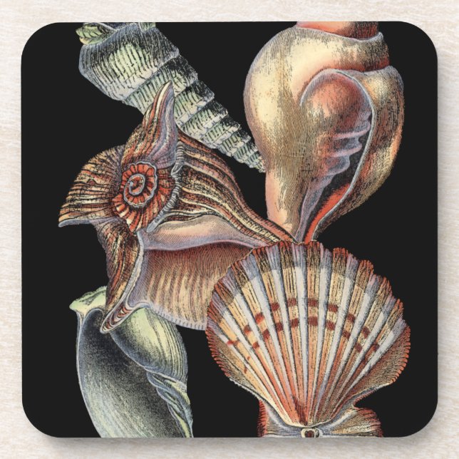 Dessous-de-verre Les trésors de la mer (Devant)