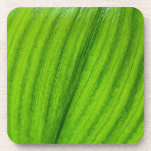 Dessous-de-verre Lily de la Vallée