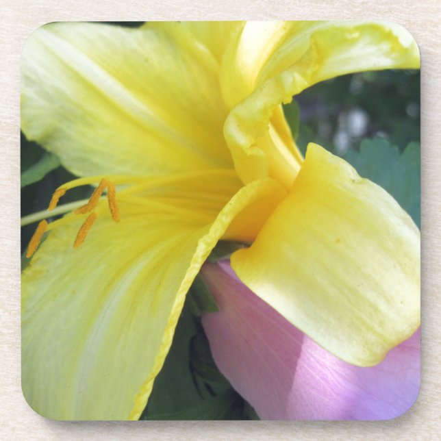 Dessous-de-verre Lily jaune (Devant)