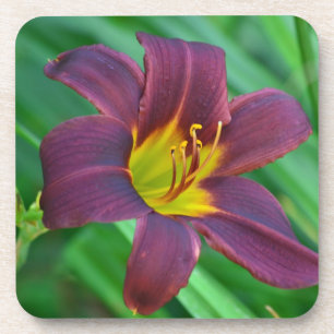 Dessous de verre Lily pourpre