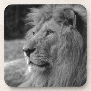 Dessous-de-verre Lion noir et blanc - Animal sauvage